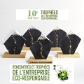 10eme Trophée de l'entreprise éco-responsable - Sculpture ardoise